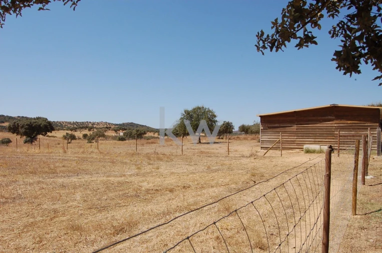 Quinta T2 para Venda em Monsaraz Foto 69