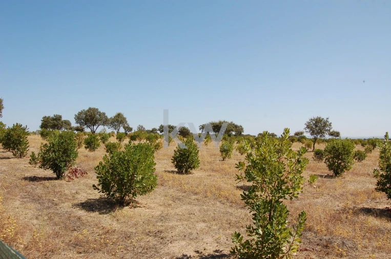 Quinta T2 para Venda em Monsaraz Foto 68