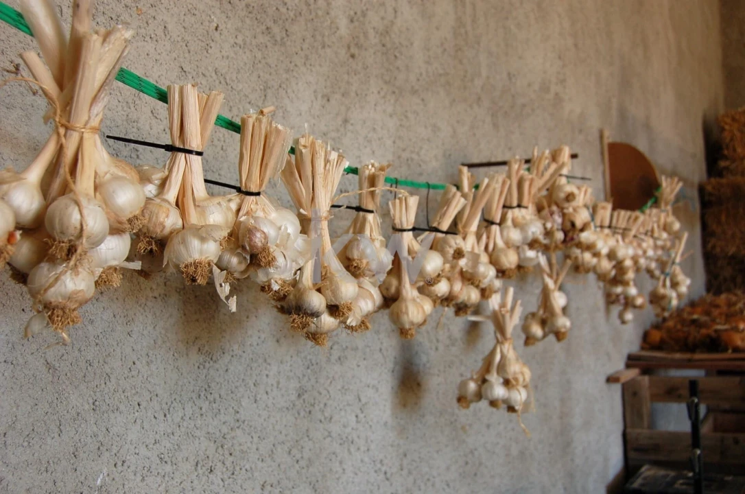 Quinta T2 para Venda em Monsaraz Foto 114