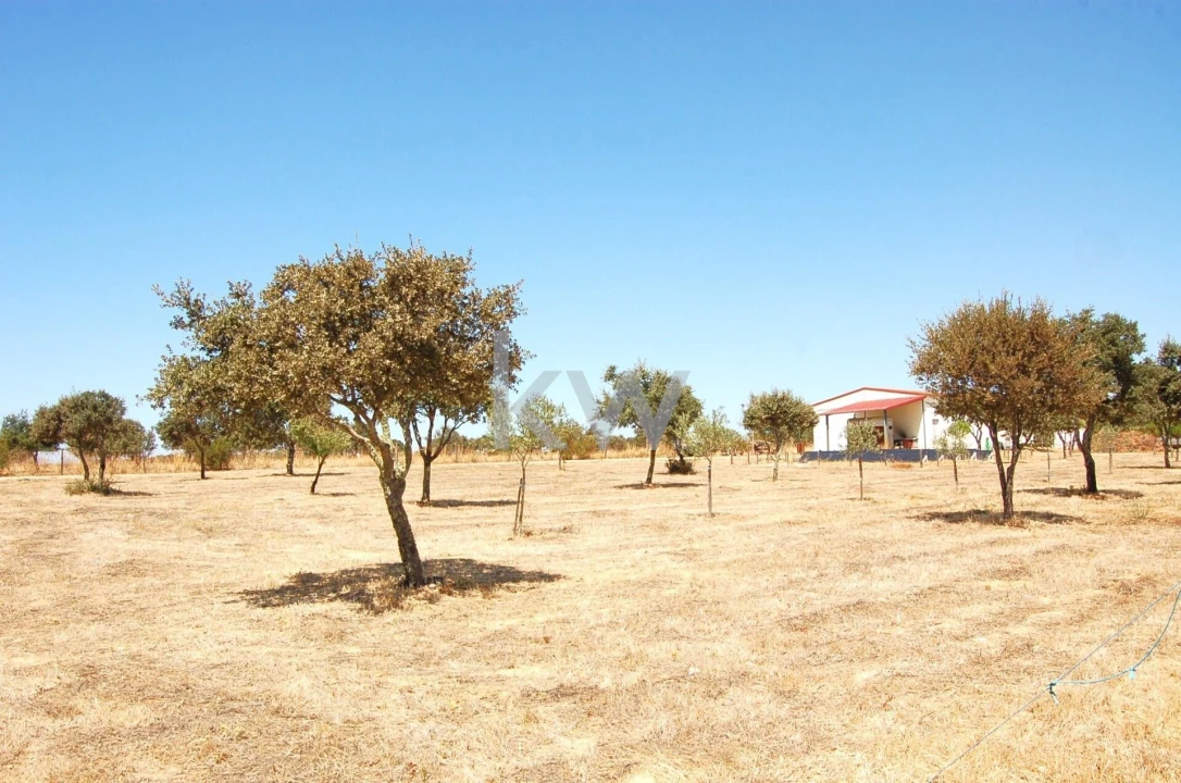 Quinta T2 para Venda em Monsaraz Foto 104