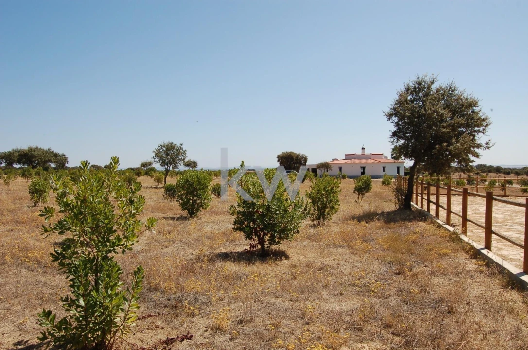 Quinta T2 para Venda em Monsaraz Foto 67