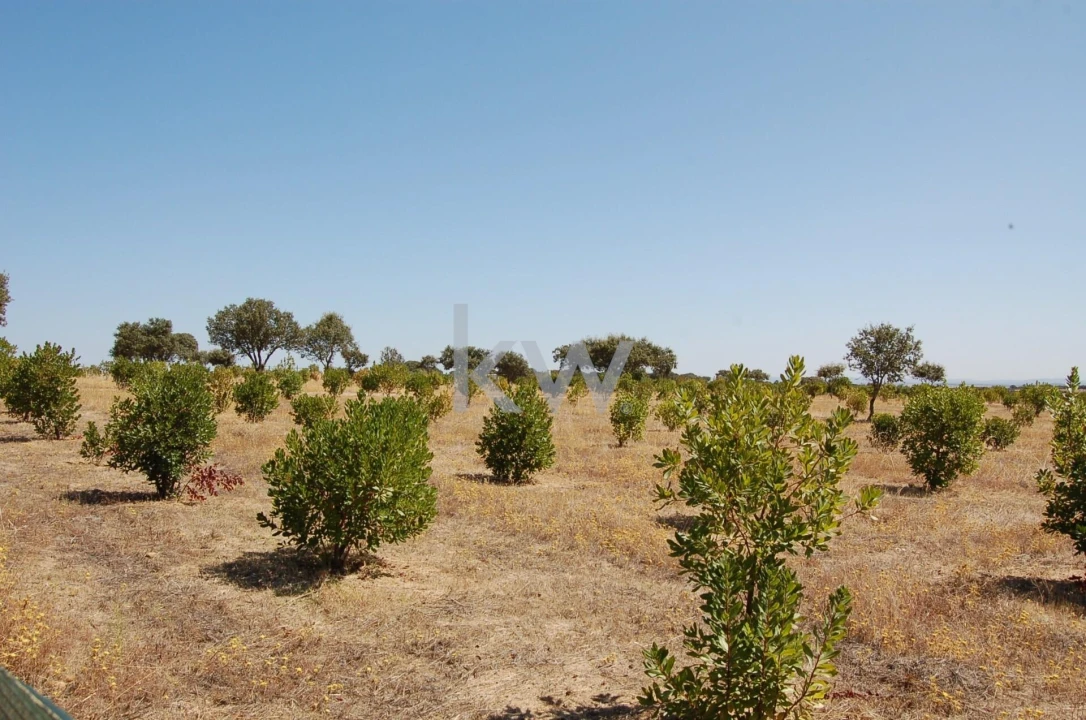 Quinta T2 para Venda em Monsaraz Foto 68