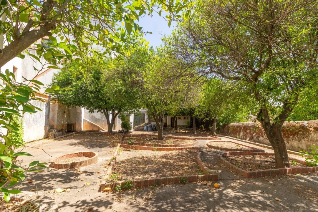 Moradia T14 para Venda em Évora (São Mamede, Sé, São Pedro e Santo Antão) Foto 3