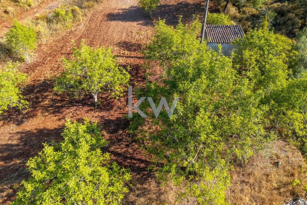 Moradia T2 para Venda em Querença, Tôr e Benafim Foto 37