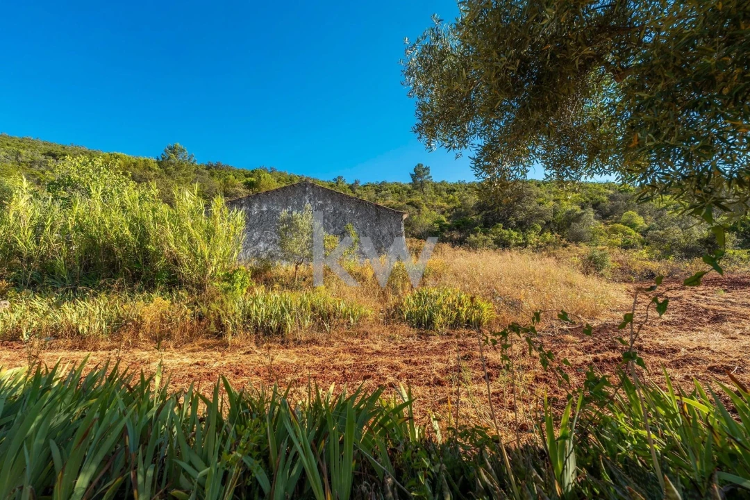 Moradia T2 para Venda em Querença, Tôr e Benafim Foto 35