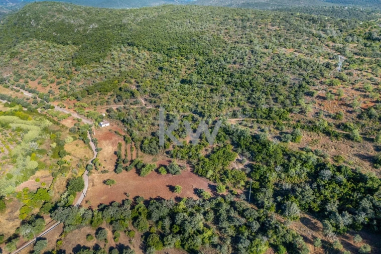 Moradia T2 para Venda em Querença, Tôr e Benafim Foto 56