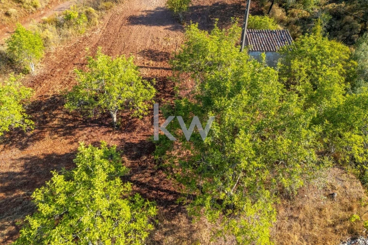 Moradia T2 para Venda em Querença, Tôr e Benafim Foto 37