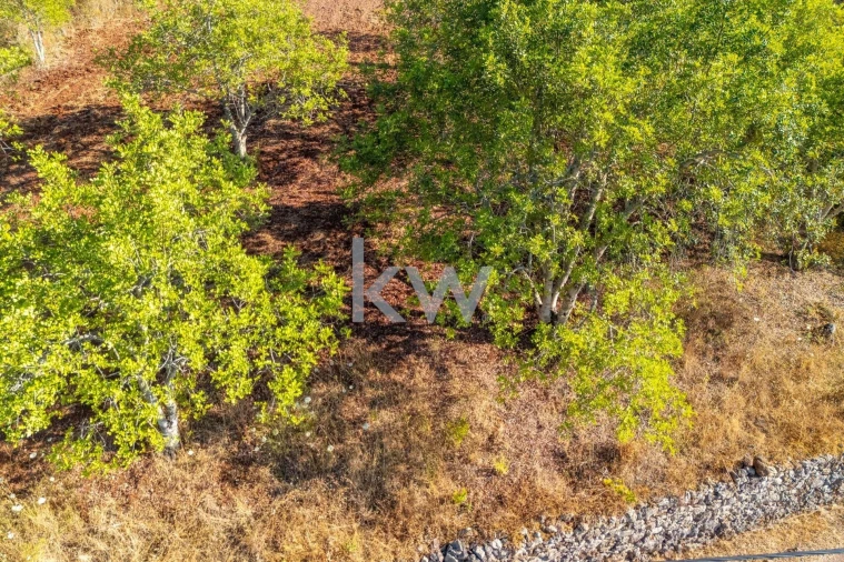 Moradia T2 para Venda em Querença, Tôr e Benafim Foto 38