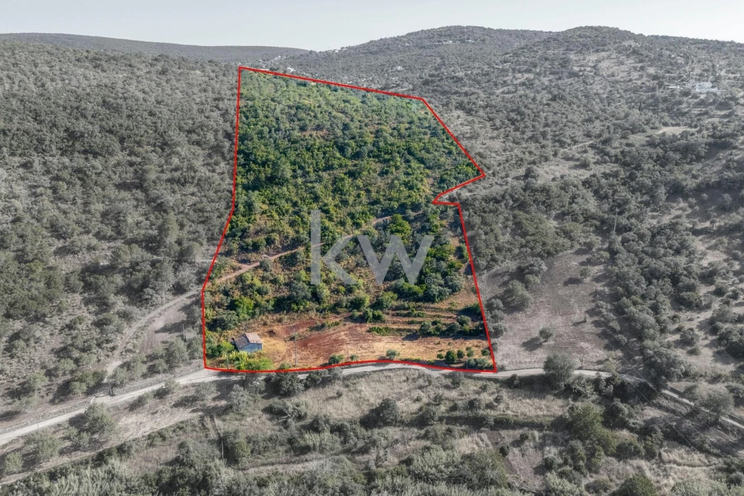 Moradia T2 para Venda em Querença, Tôr e Benafim Foto 9