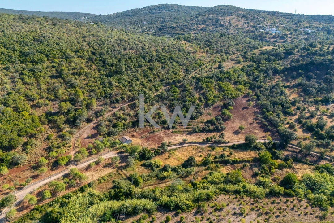 Moradia T2 para Venda em Querença, Tôr e Benafim Foto 10