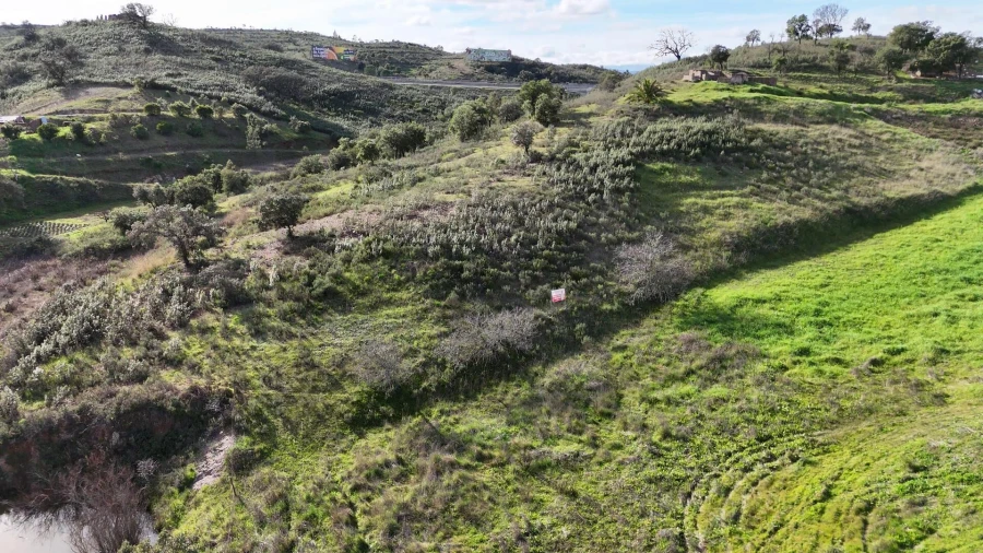 Terreno para Venda em São Bartolomeu de Messines Foto 10
