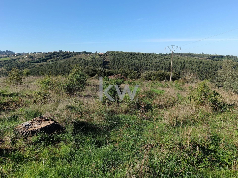 Terreno para Venda em A dos Negros Foto 9