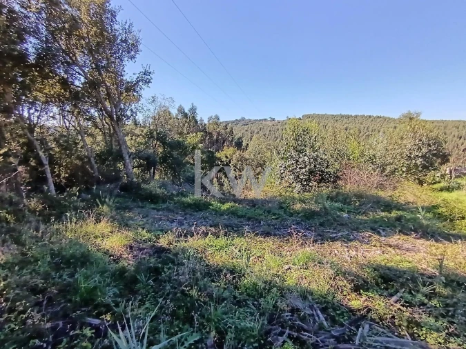 Terreno para Venda em A dos Negros Foto 25