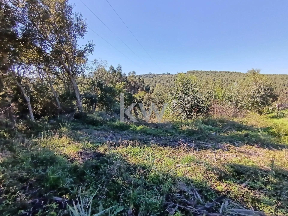 Terreno para Venda em A dos Negros Foto 25