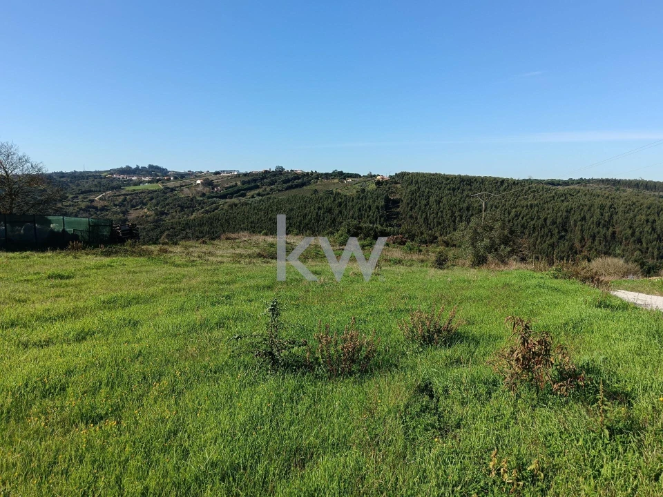 Terreno para Venda em A dos Negros Foto 6