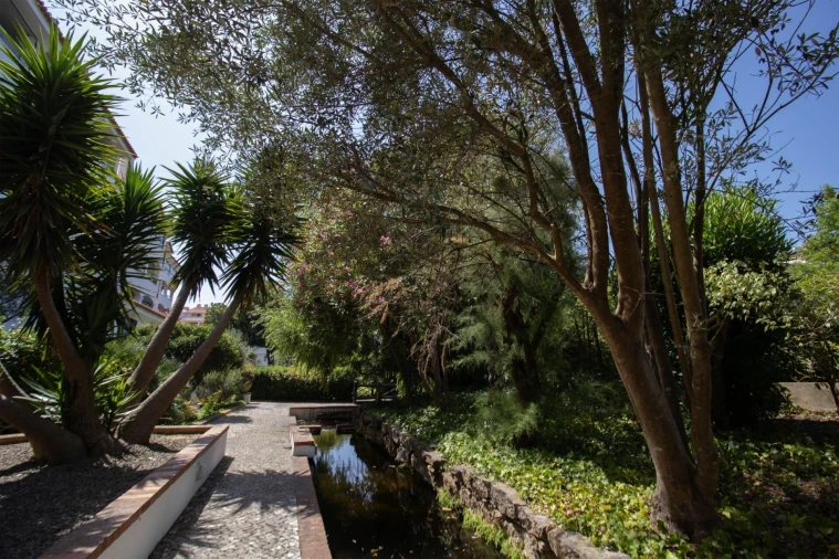 Apartamento T4 para Arrendamento em Cascais e Estoril Foto 49