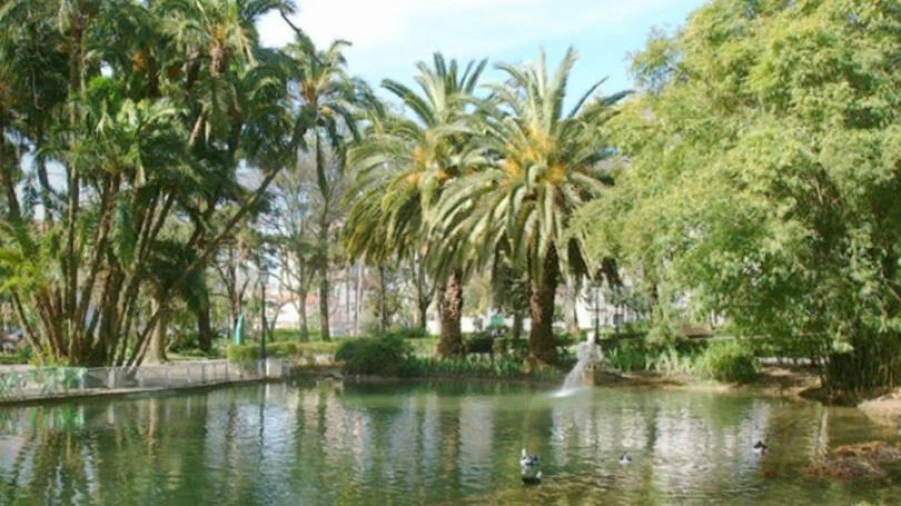 Apartamento T4 para Arrendamento em Estrela Foto 28