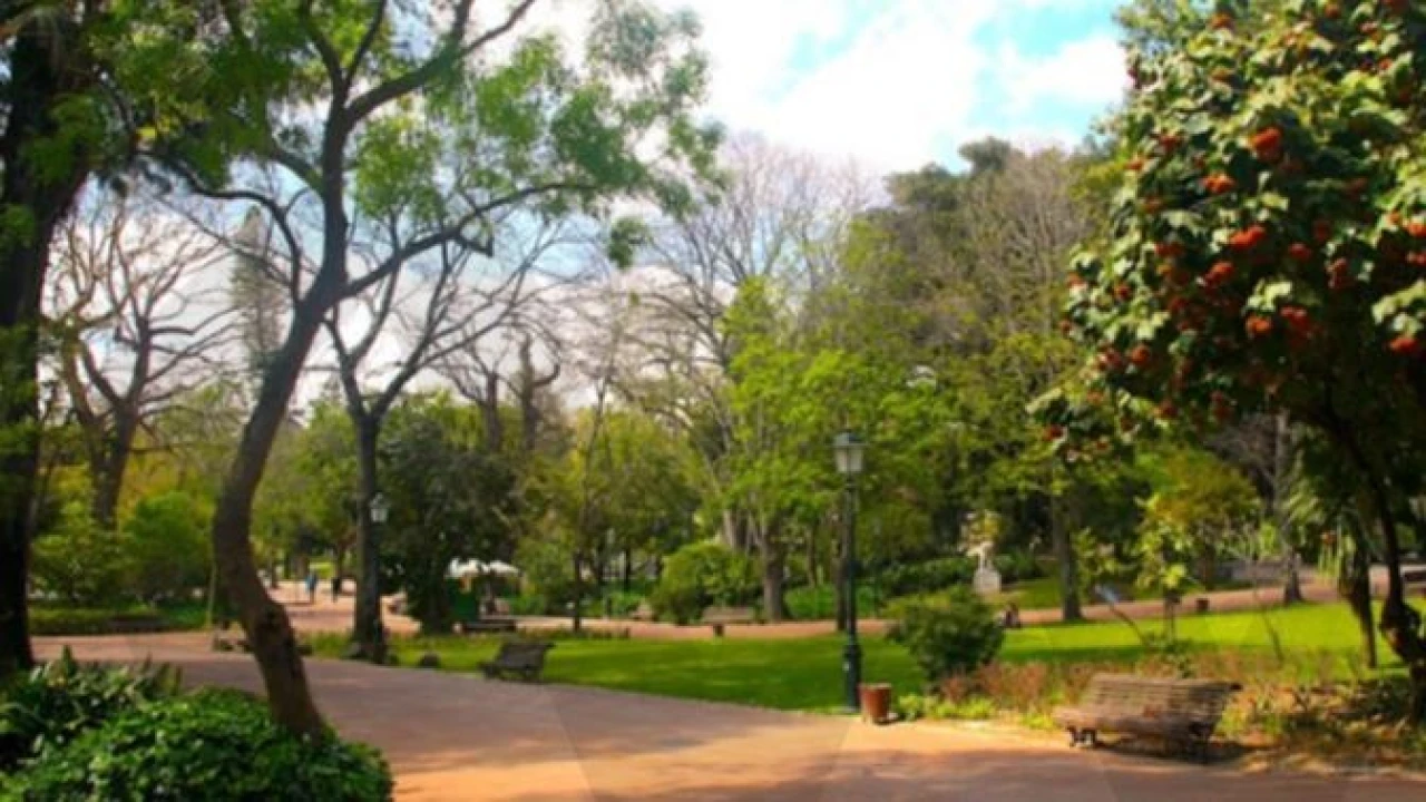 Apartamento T4 para Arrendamento em Estrela Foto 27