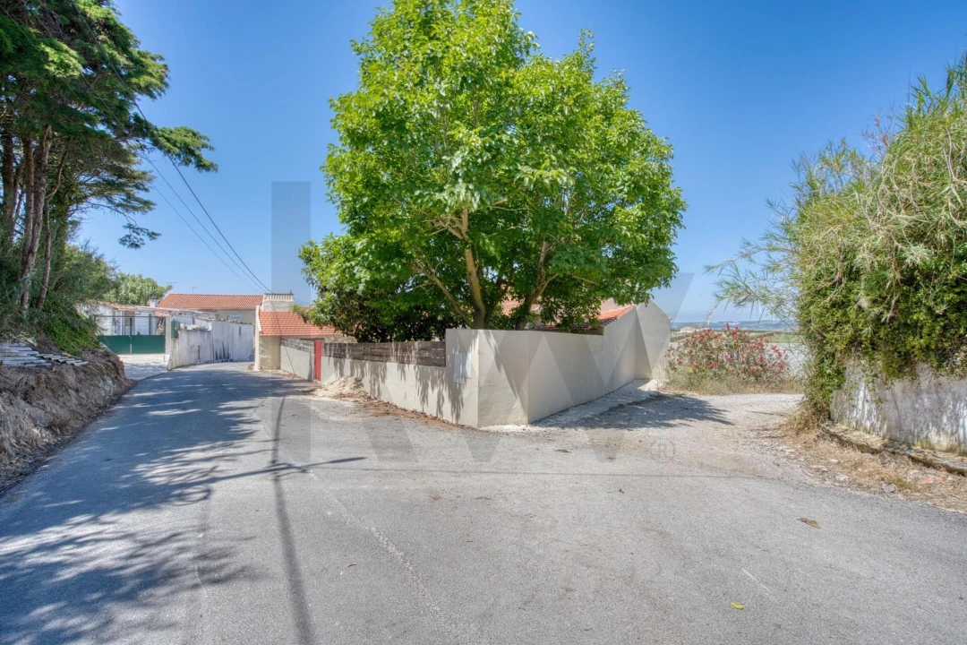 Moradia T3 para Venda em Lourinhã e Atalaia Foto 30