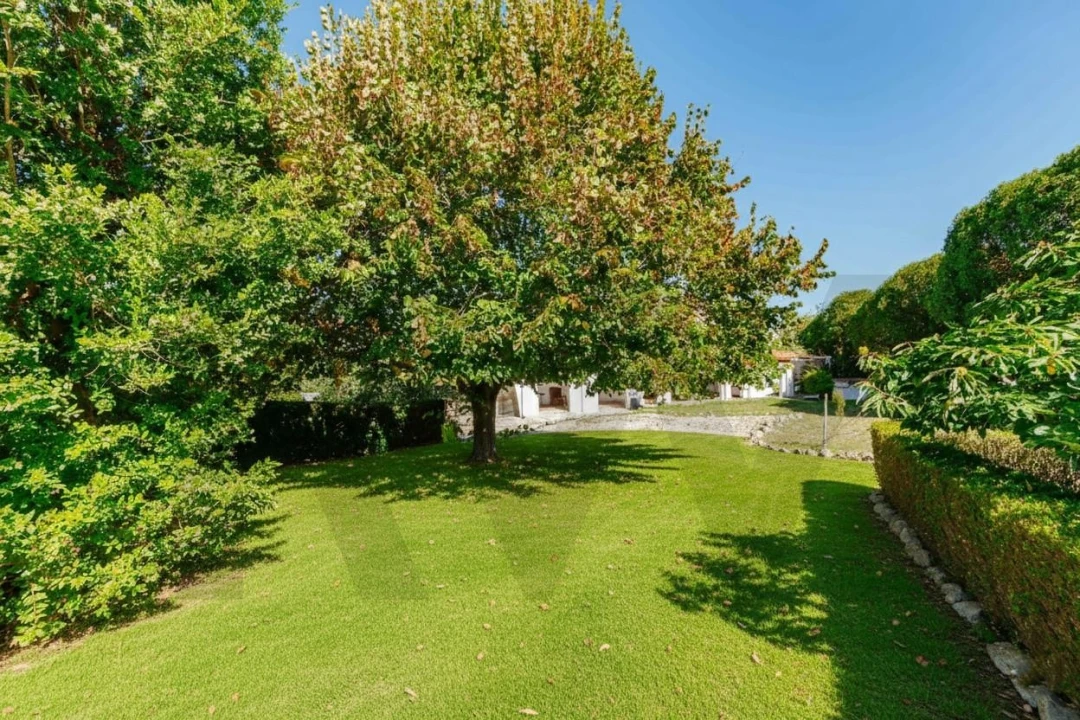 Moradia T5 para Venda em Mafra Foto 4