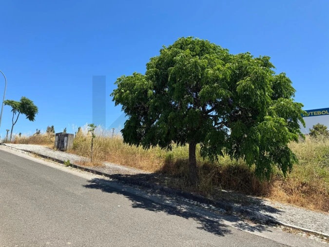 Terreno para Venda em São João das Lampas e Terrugem Foto 3