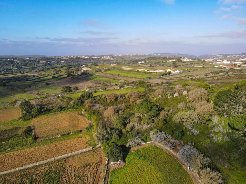 Terreno para Venda em Santa Maria e São Miguel, São Martinho, São Pedro Penaferrim Foto 13