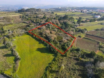 Terreno para Venda em Santa Maria e São Miguel, São Martinho, São Pedro Penaferrim