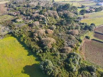 Terreno para Venda em Santa Maria e São Miguel, São Martinho, São Pedro Penaferrim