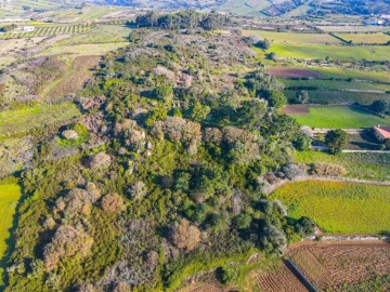 Terreno para Venda em Santa Maria e São Miguel, São Martinho, São Pedro Penaferrim