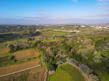Terreno para Venda em Santa Maria e São Miguel, São Martinho, São Pedro Penaferrim