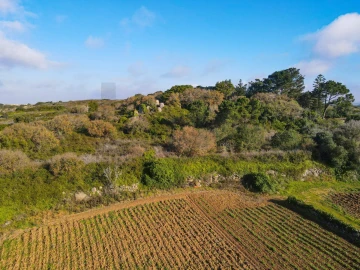 Terreno para Venda em Santa Maria e São Miguel, São Martinho, São Pedro Penaferrim