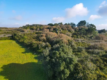 Terreno para Venda em Santa Maria e São Miguel, São Martinho, São Pedro Penaferrim