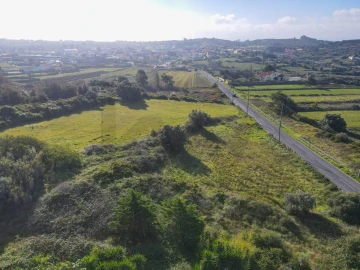 Terreno para Venda em Santa Maria e São Miguel, São Martinho, São Pedro Penaferrim