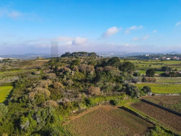 Terreno para Venda em Santa Maria e São Miguel, São Martinho, São Pedro Penaferrim