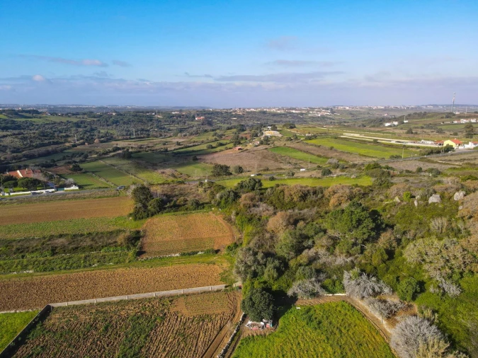 Terreno para Venda em Santa Maria e São Miguel, São Martinho, São Pedro Penaferrim Foto 15
