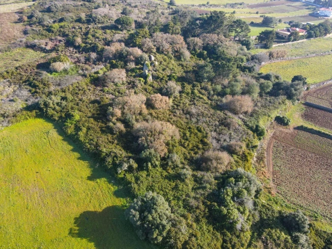Terreno para Venda em Santa Maria e São Miguel, São Martinho, São Pedro Penaferrim Foto 14
