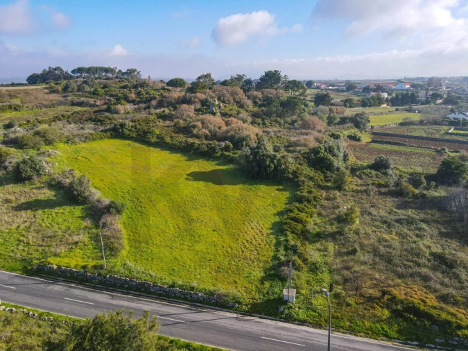Terreno para Venda em Santa Maria e São Miguel, São Martinho, São Pedro Penaferrim Foto 3