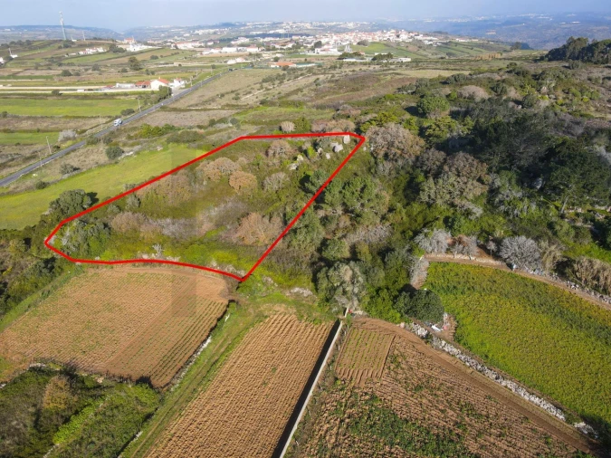 Terreno para Venda em Santa Maria e São Miguel, São Martinho, São Pedro Penaferrim Foto 4