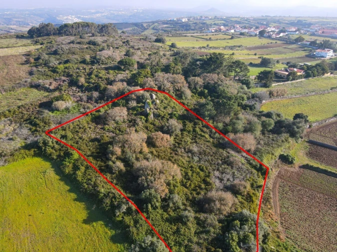 Terreno para Venda em Santa Maria e São Miguel, São Martinho, São Pedro Penaferrim Foto 5