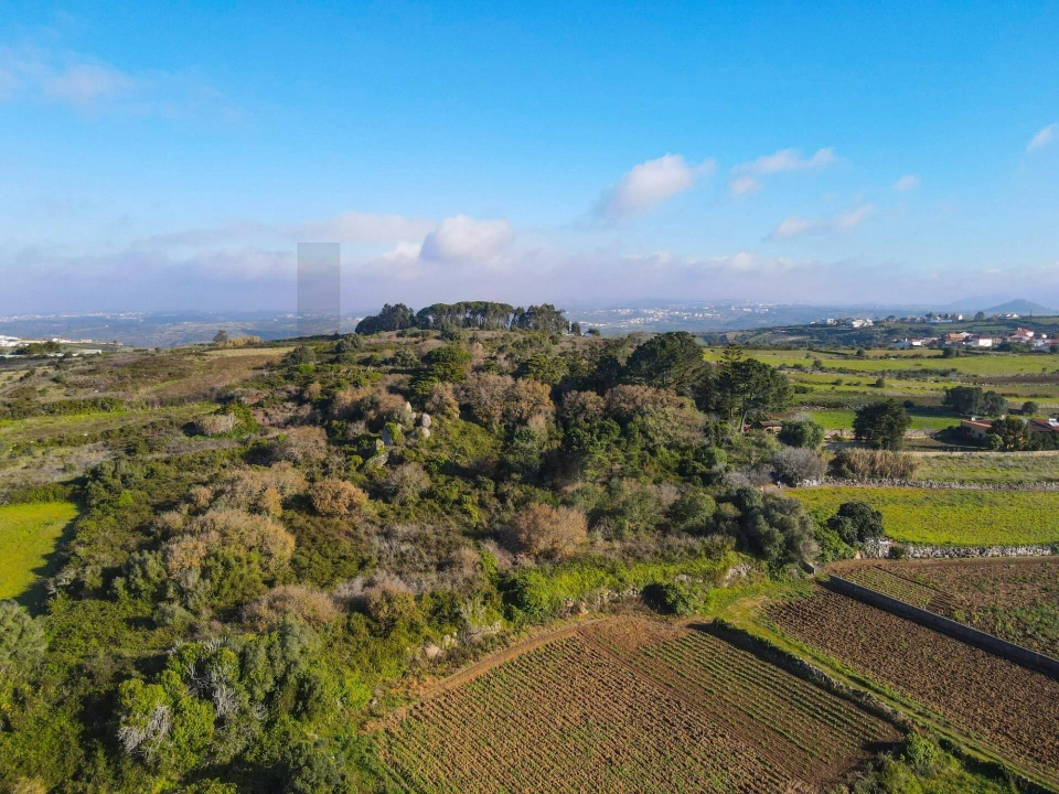 Terreno para Venda em Santa Maria e São Miguel, São Martinho, São Pedro Penaferrim Foto 12