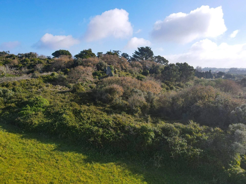 Terreno para Venda em Santa Maria e São Miguel, São Martinho, São Pedro Penaferrim Foto 11