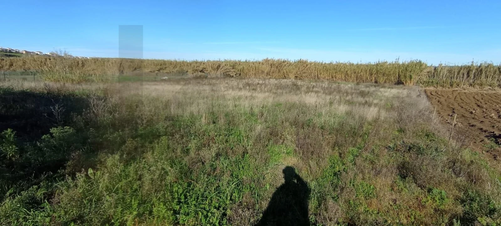 Terreno para Venda em São Pedro da Cadeira Foto 5