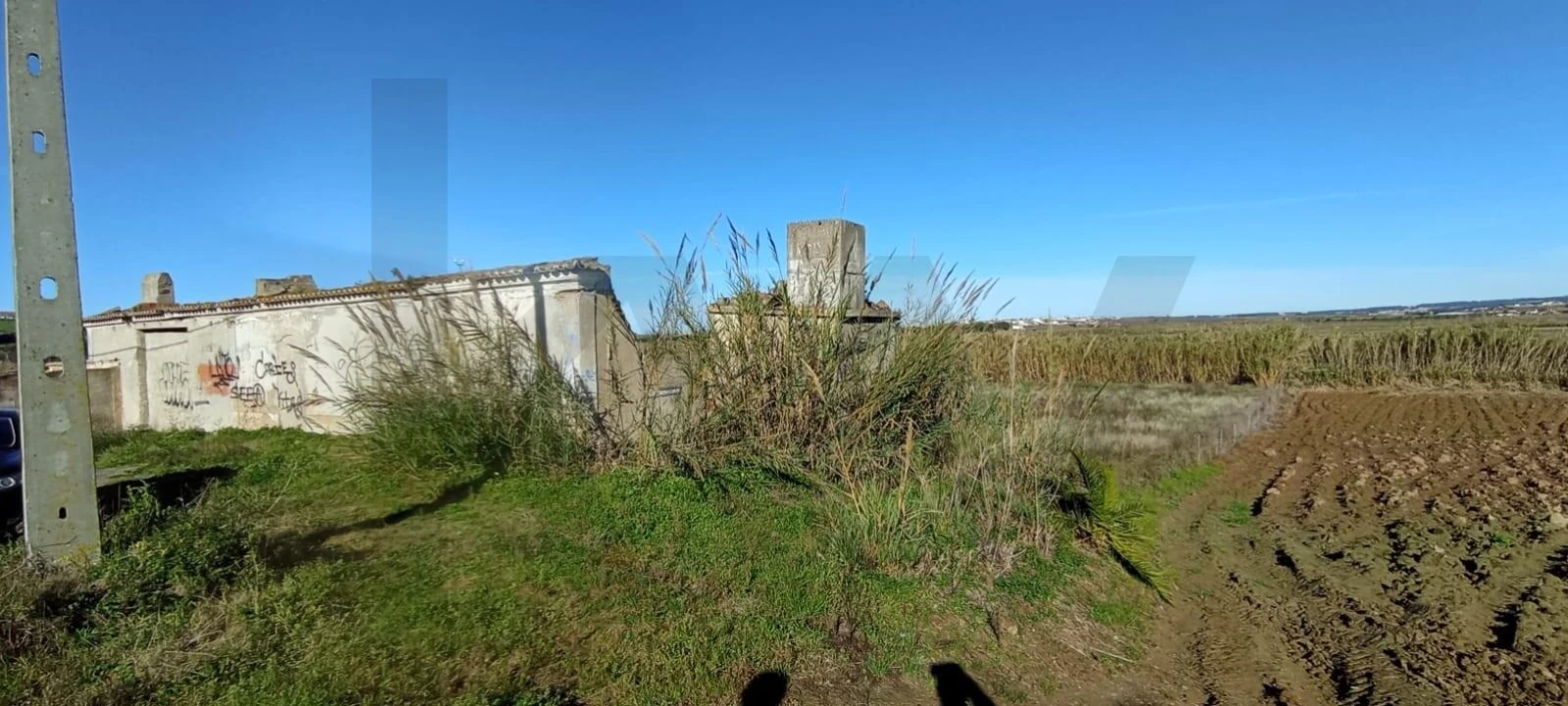 Terreno para Venda em São Pedro da Cadeira Foto 1