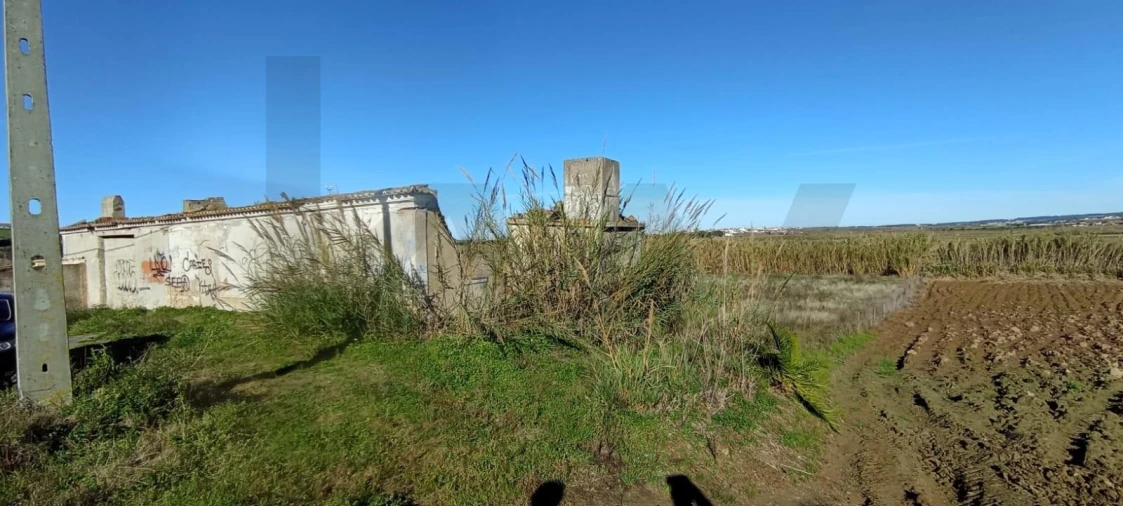 Terreno para Venda em São Pedro da Cadeira