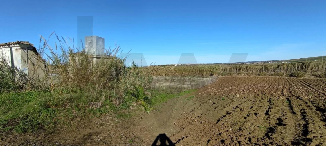 Terreno para Venda em São Pedro da Cadeira Foto 2