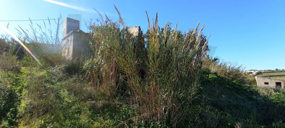 Terreno para Venda em São Pedro da Cadeira Foto 4
