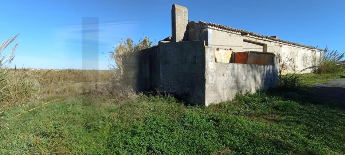 Terreno para Venda em São Pedro da Cadeira Foto 8