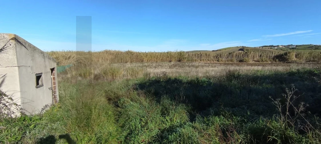 Terreno para Venda em São Pedro da Cadeira Foto 10