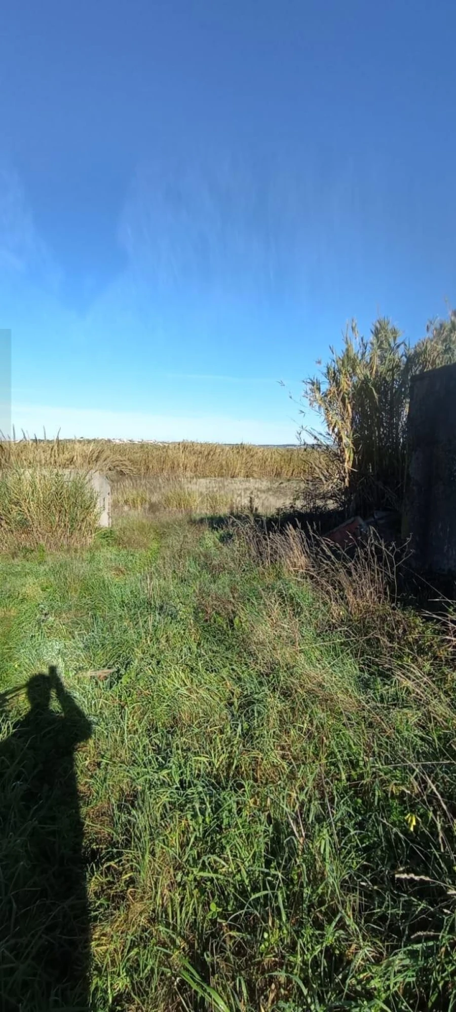Terreno para Venda em São Pedro da Cadeira Foto 11