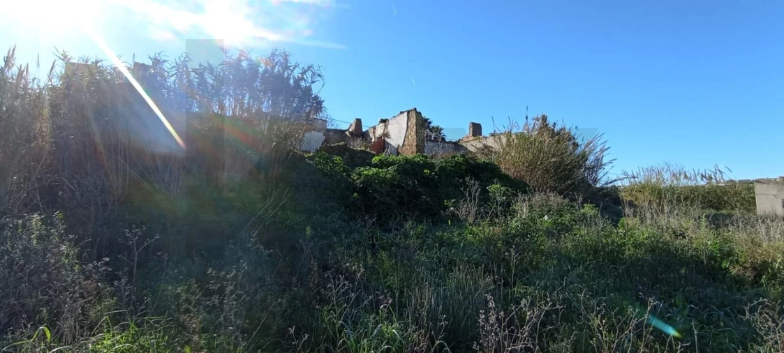 Terreno para Venda em São Pedro da Cadeira Foto 9